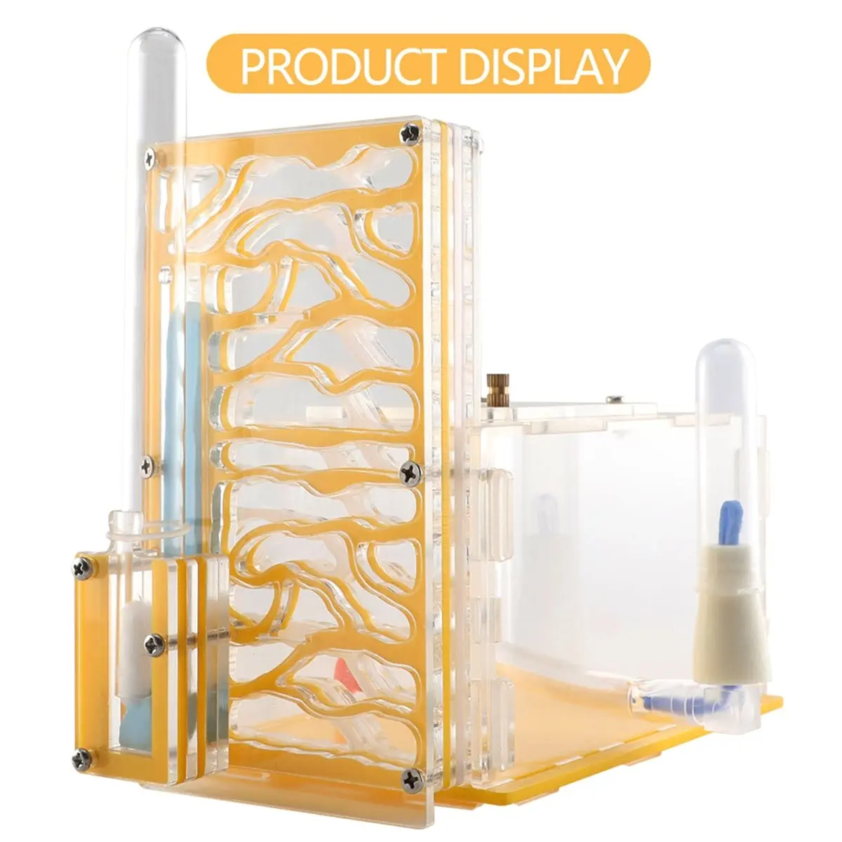 A67T NEW Insect Ant Nest T-Design Ant Nest T-Design Feeding Area Acrylic Farm Insect Villa House Ant Nest Birthday Present Gift