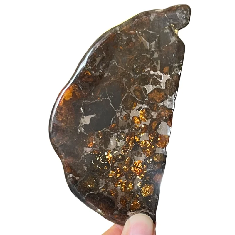 Natural Sericho Pallasite Meteorite Irregular Polished Slice Kenya Olivine Mineral Specimen Decor QA868