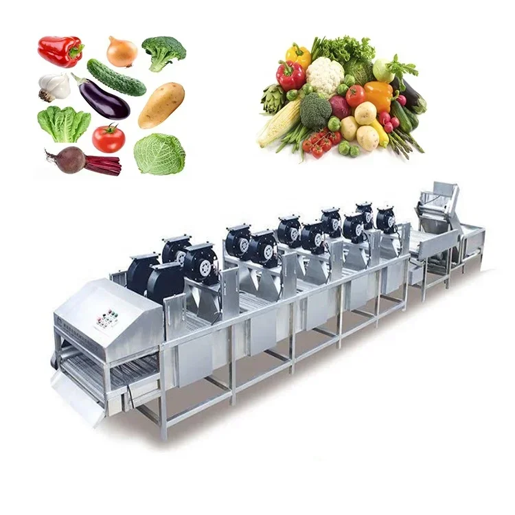 For Industrial Complete Fresh Leaf Vegetable Processing Machine Line with Washing Drying Equipment fruit washing machine