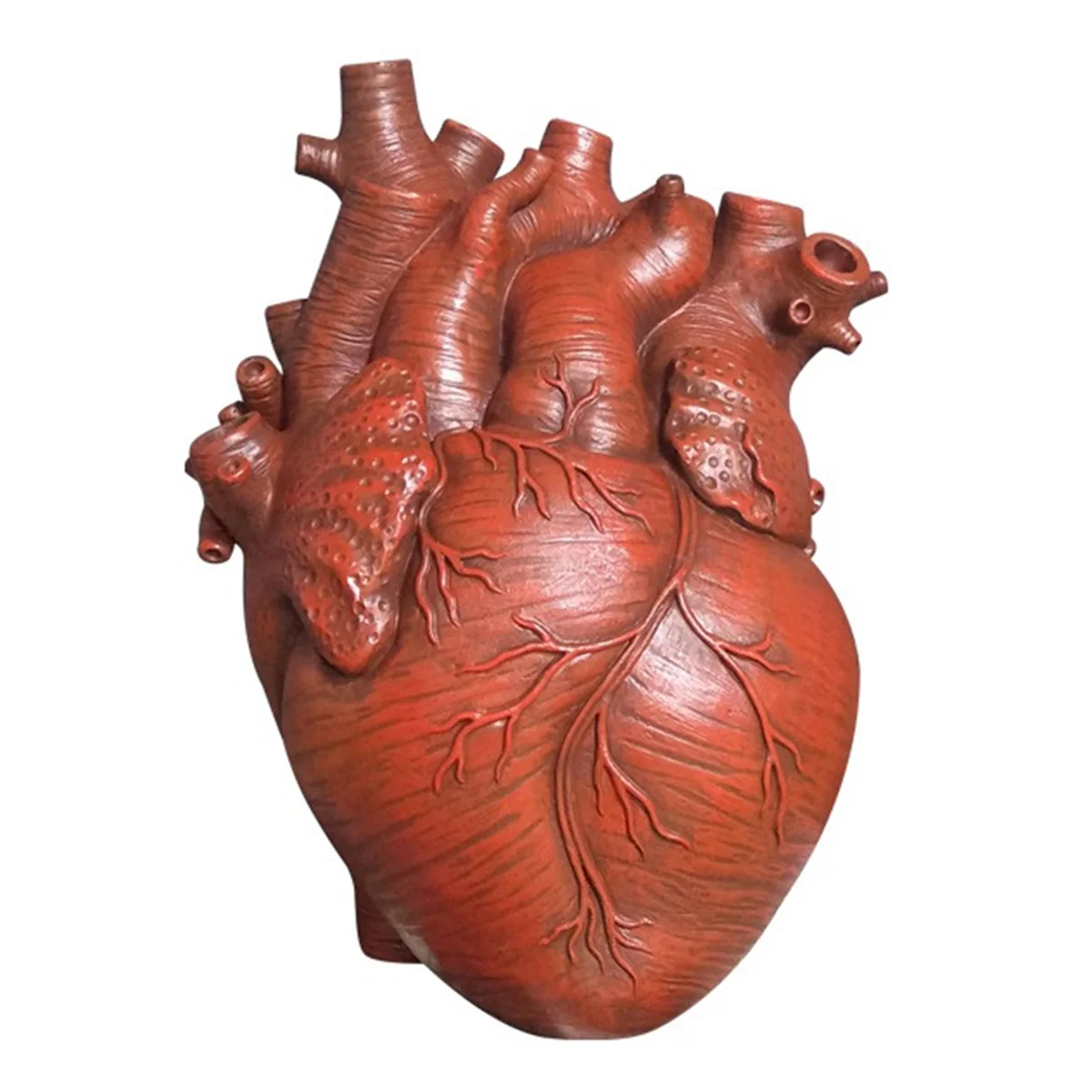 Anatomical Heart Vase Resin Flower Pot Heart Shape Vase Countertop Desktop Ornament Table Desk Flower Vase Decor,Red