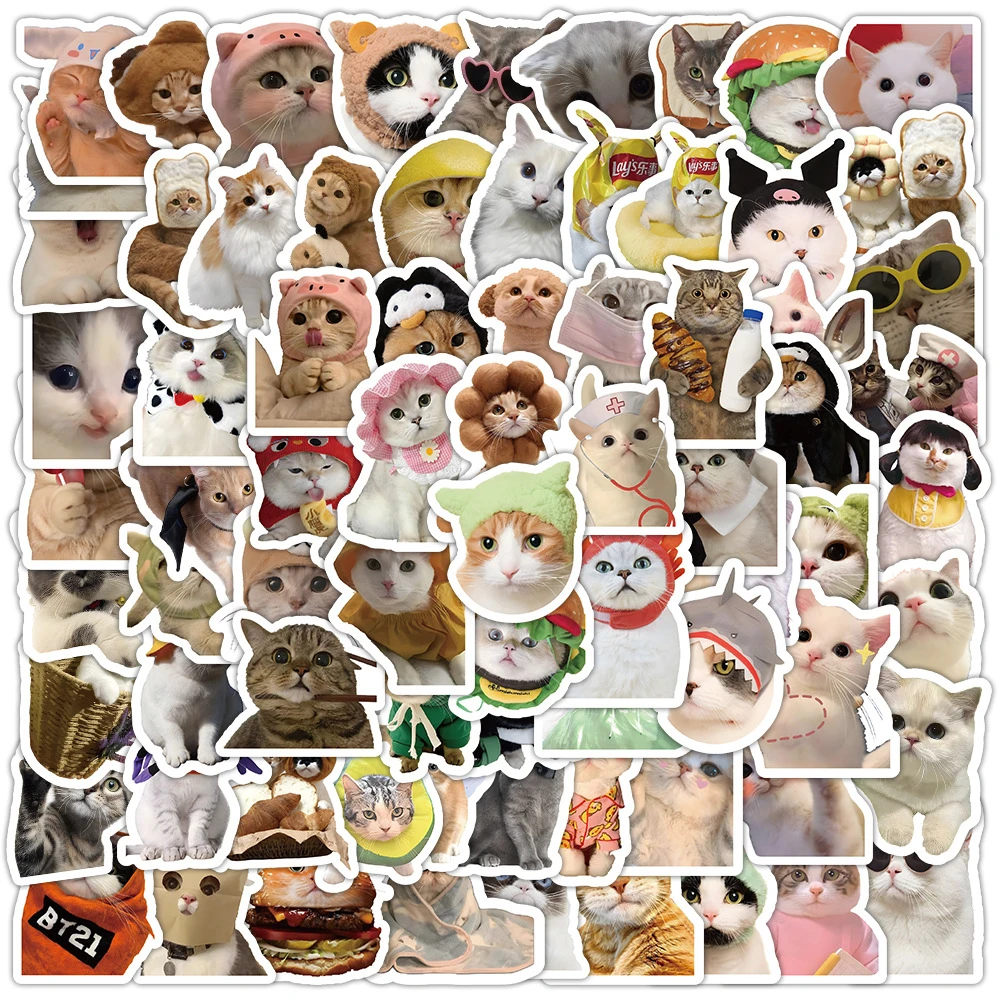 100 Pieces of Realistic Cat Sticker Cute Expression Packs, Double-Sided Adhesive PVC Decorative Waterproof Notebook Stickers New