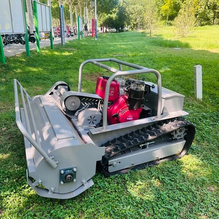 CE Approved Mini Remote Rc Control Lawn Mower GPS-RTK High Performance Home Gardening Equipment Small Gardens