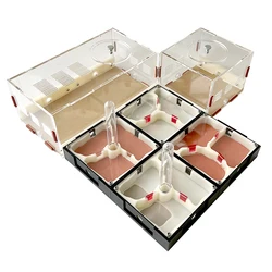 Acrylic Ant Farm Unlimited Expansion Ant Nest with Feeding Area Gypsum Ant House Pet Anthill Workshop Moisturizing Water Tower