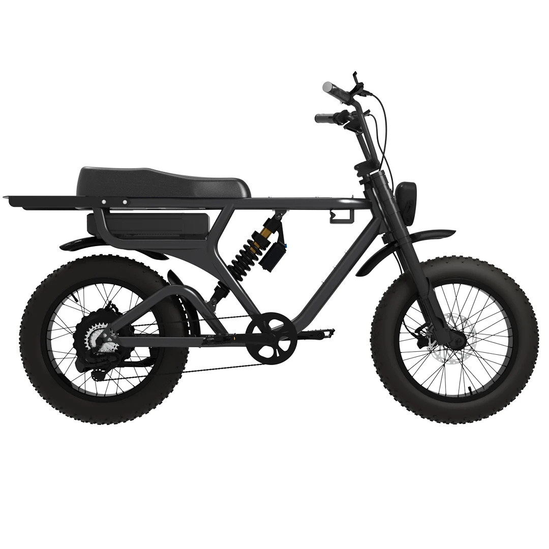 BSK 52V 1000W 20