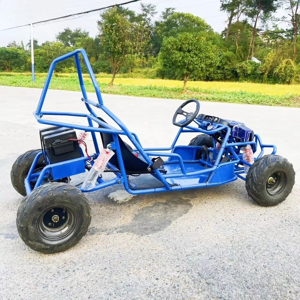 LNA absolutely pleasure 1500w electric go-kart kart racer parts accessories