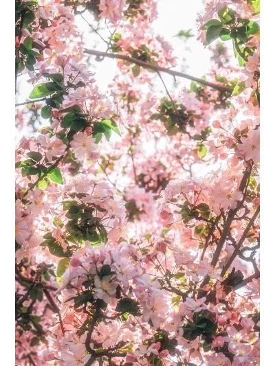 

MN MN82 LC79 MN78 D90 D91 D96 99S RC Remote Control Car Parts Upgrade Front and Rear Axle Wheels