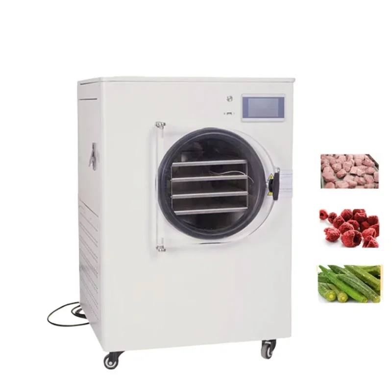 

High Quality Freeze Drying Machine Small Type Lyophilizer Dryer for Fruit and Vegetable with Factory Price