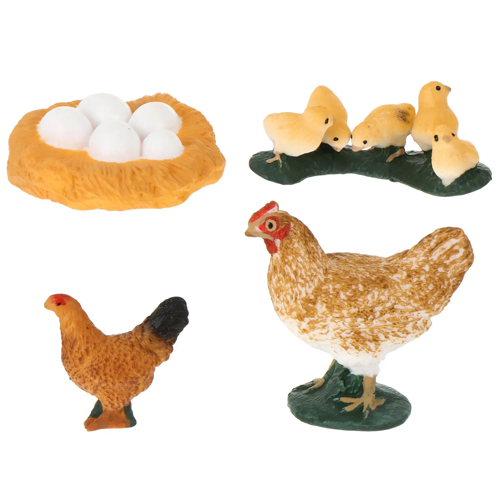 

1Set Hen Growth Cycle Educational Kit Realistic Life Cycle Statues Kids Cognitive Plaything Home Decor Animals Figurines