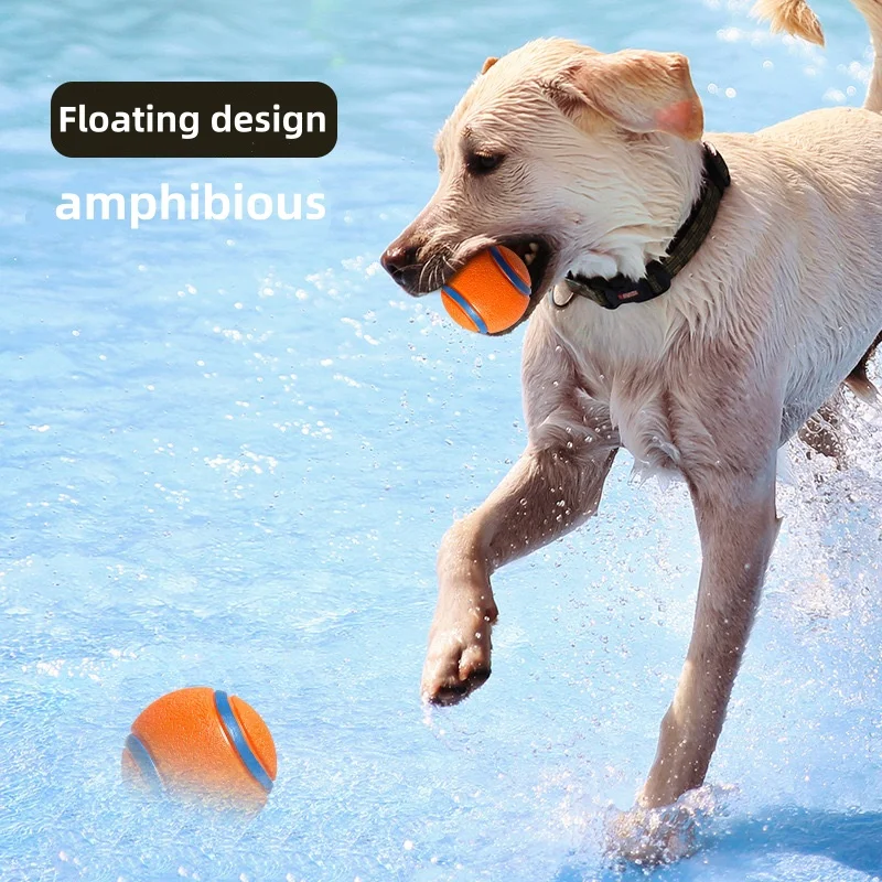 Thumbnail 4 - #9 Top 30 Puppy Fetch Toys Worth Buying In 2026