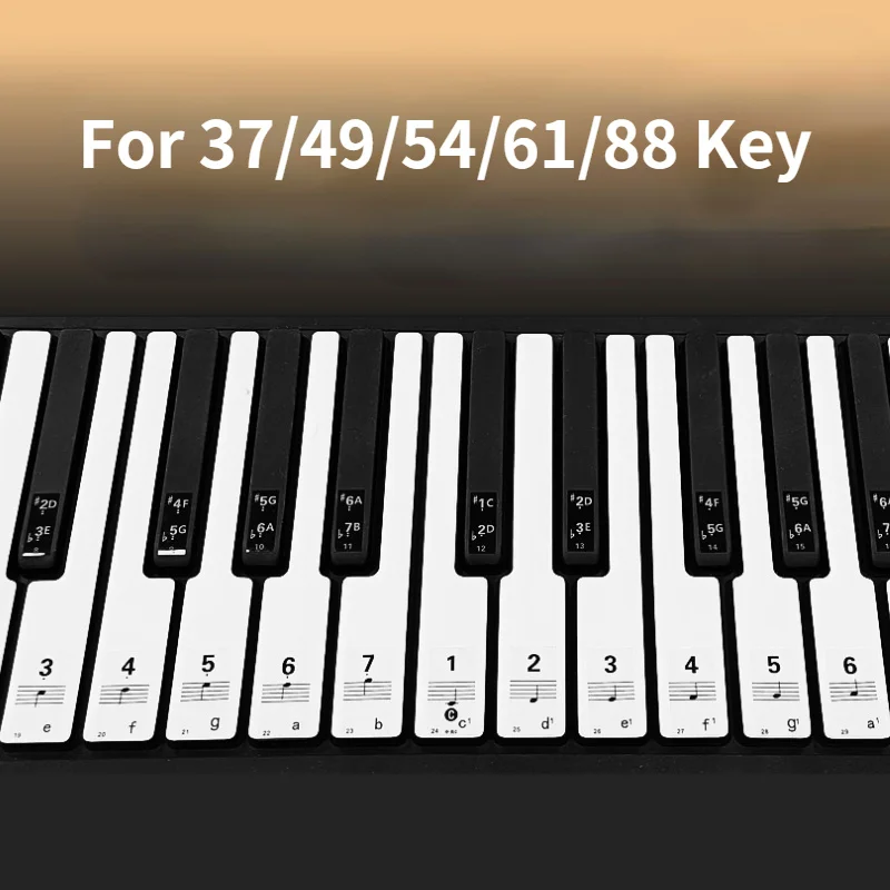 

Piano Keyboard Stickers for 37/49/54/61/88 Key Transparent Note Scales Notation Staff Roll Call Stickers Instrument Accessories