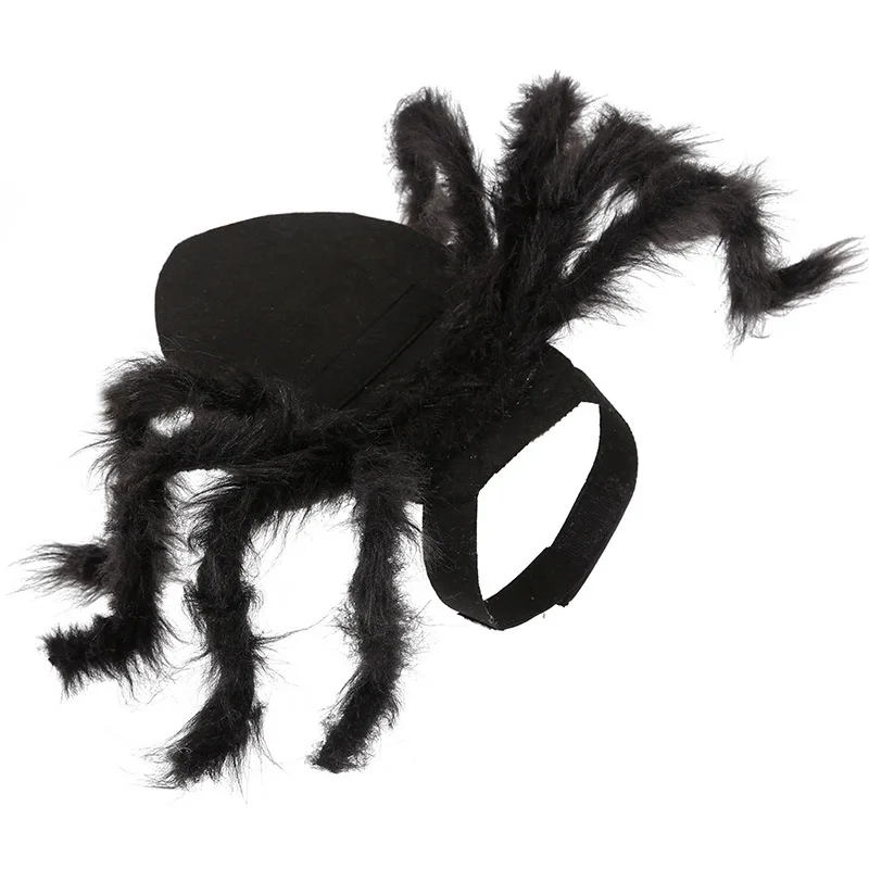 Dog spider Halloween costume