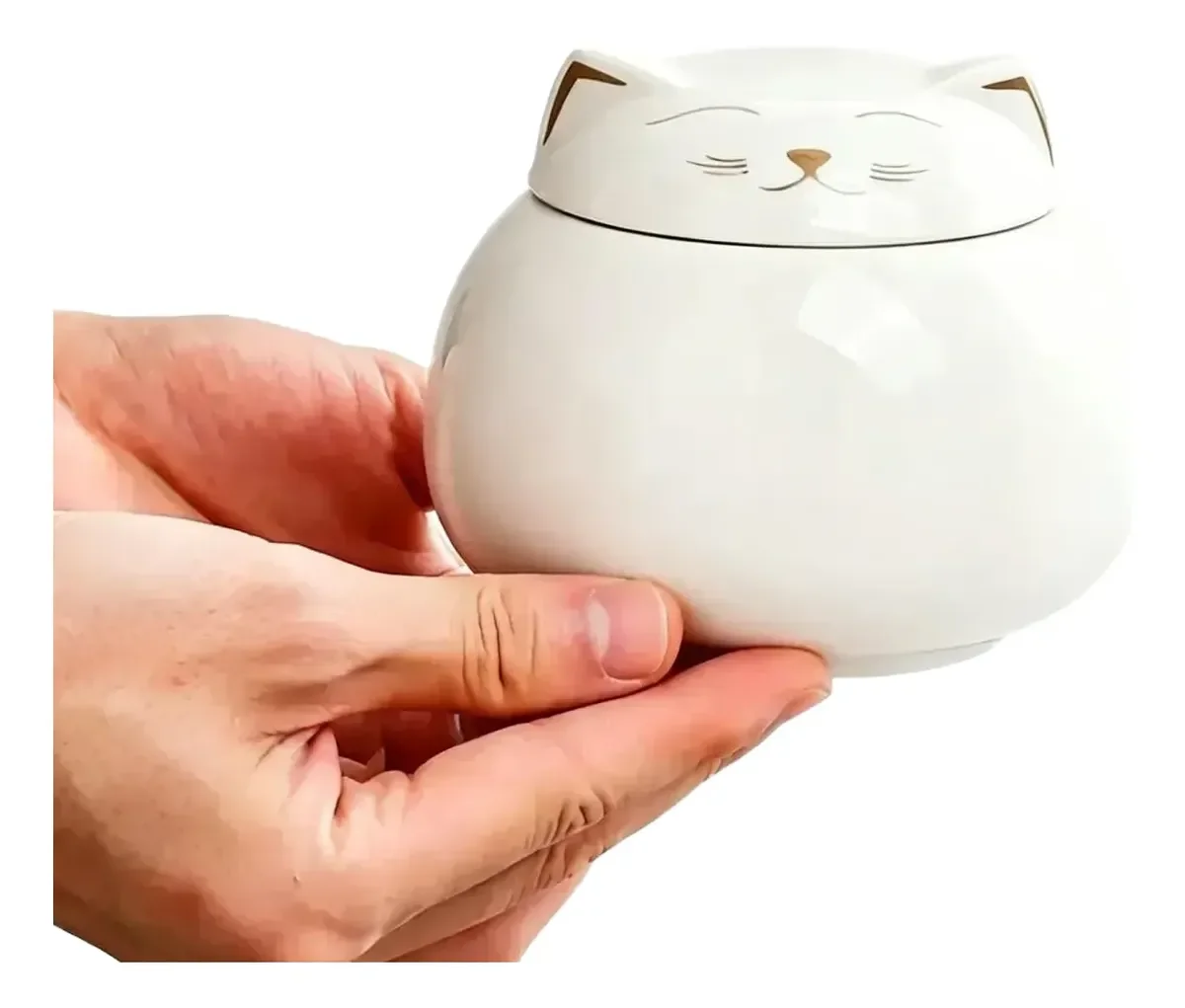 Urna de cerámica para cenizas de gato – Recuerdo memorial