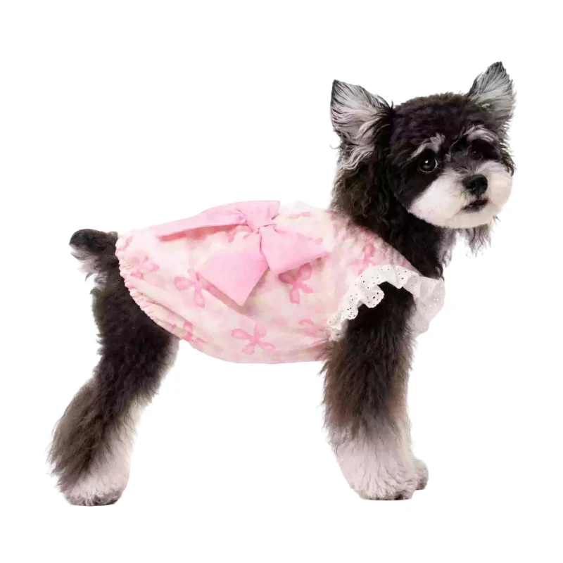 Disfraces para perros pequeños, chaleco para gatos, chihuahua, yorkie, shih tzu, maltés, pomerania, bichón, poodle, schnauzer, ropa para cachorros, chaleco para mascotas