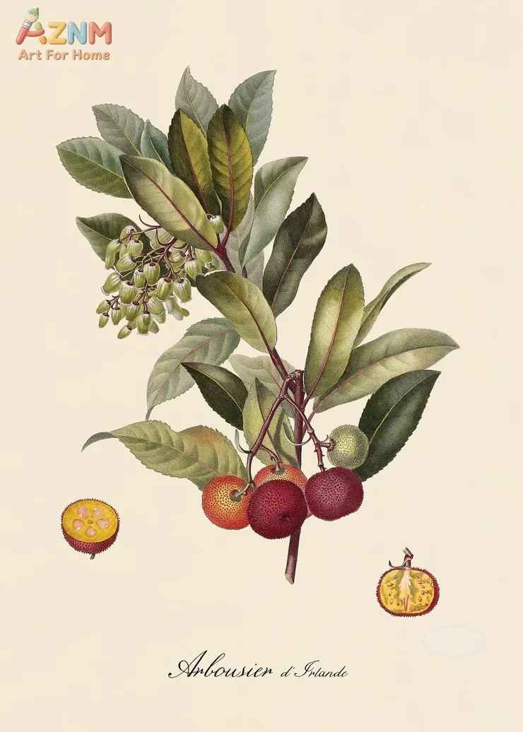 1pc Vintage Botanical Fruit Lemon Prune Orange Vintage Posters and Prints Wall Art Canvas Painting Wall Kitchen Decorati view 4