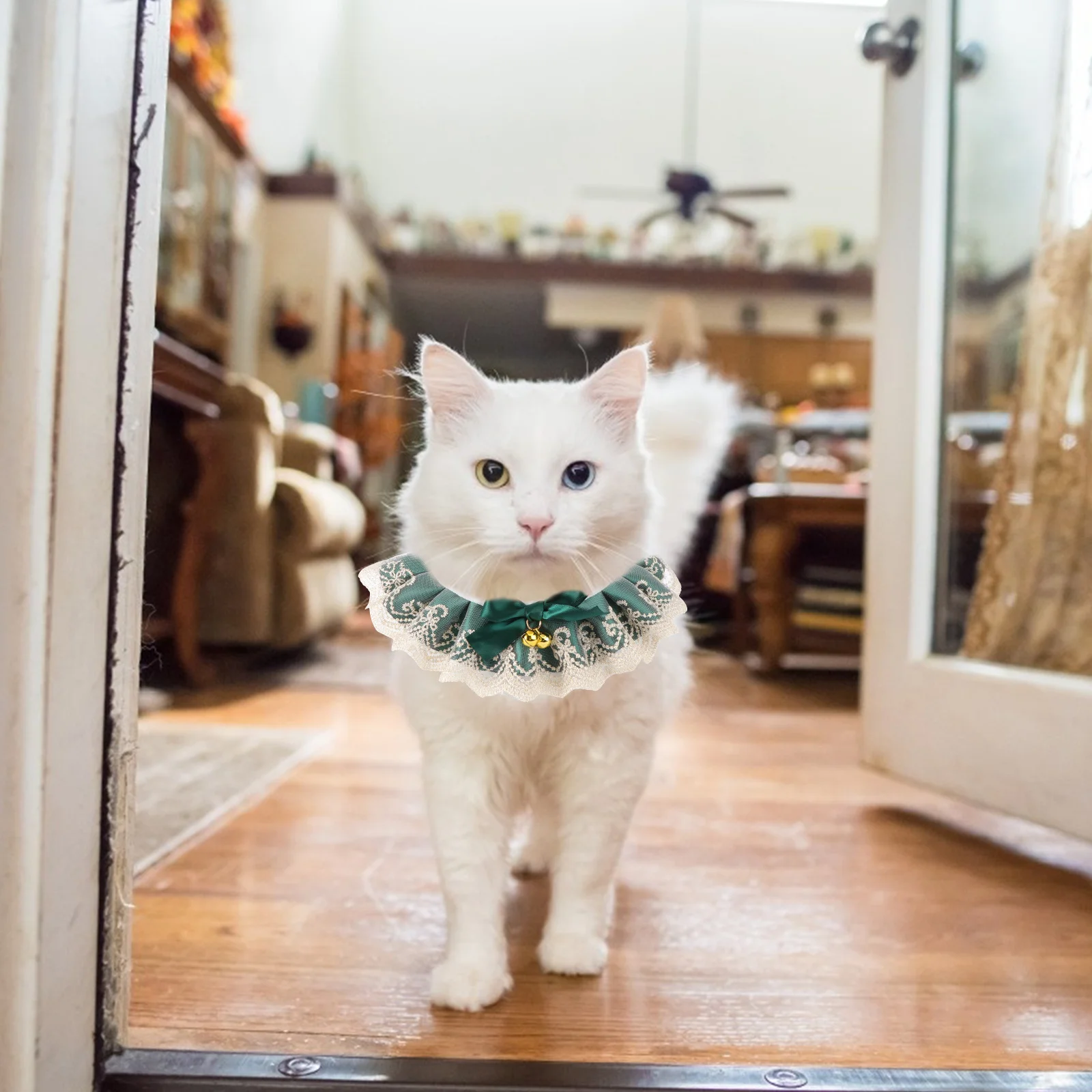 1 قطعة جرس الحيوانات الأليفة وشاح دانتيل موضة القط الكلب أرنب منديل م 25-30 سنتيمتر واقية طوق الحيوانات الأليفة القط الكلب مريلة منشفة لعاب الأطفال