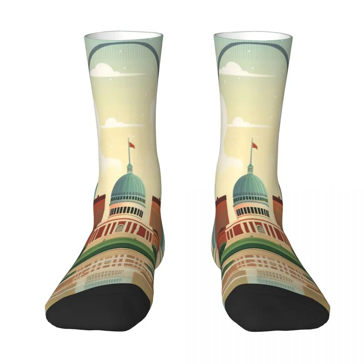 

St Louis Skyline, Wes Anderson Style Socks Fashion Trends Unisex Stockings 3D Printing Gifts Breathable Socks