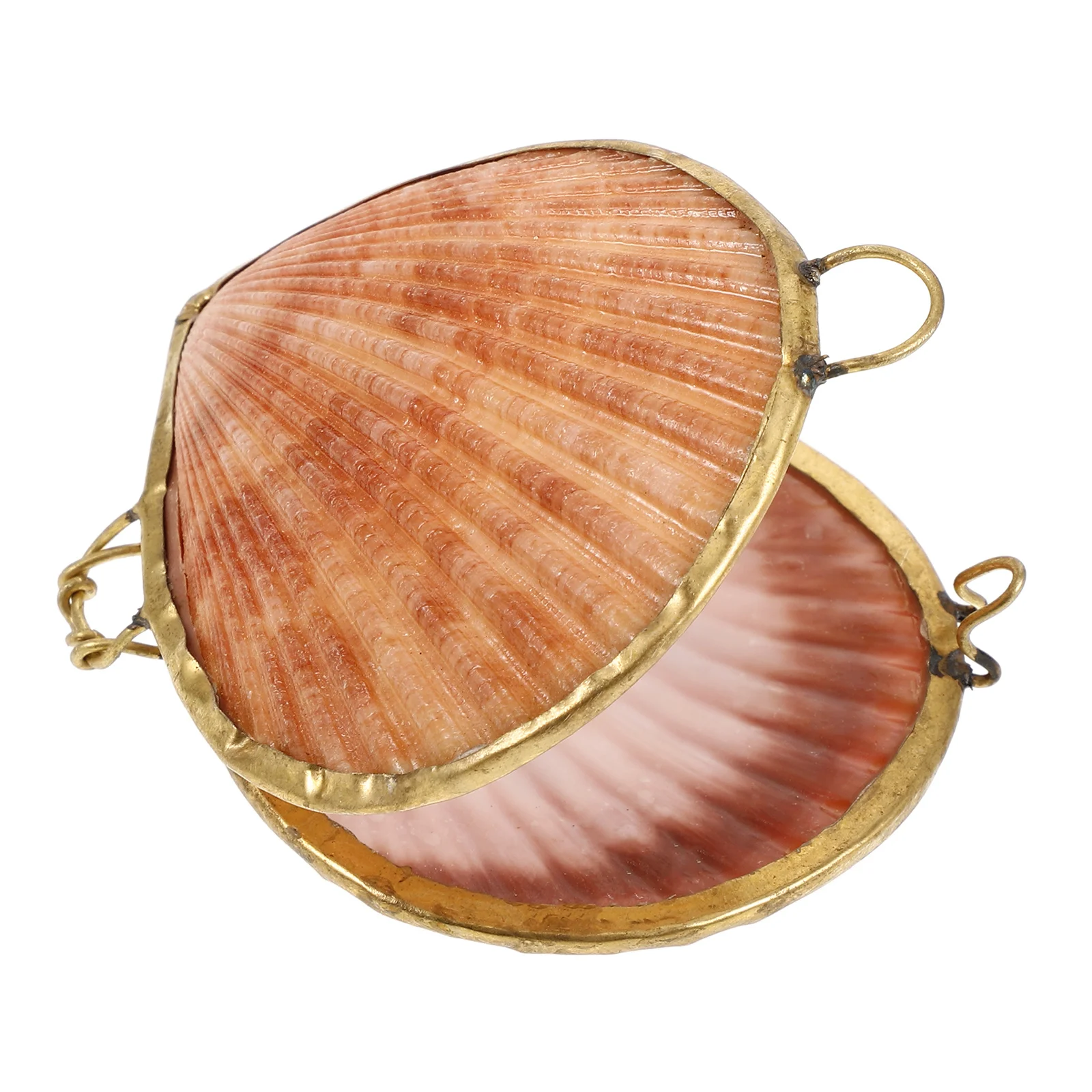 

Shell Jewelry Box Seashell Holder Shaped Container Desktop Storage Seashell-shaped Case