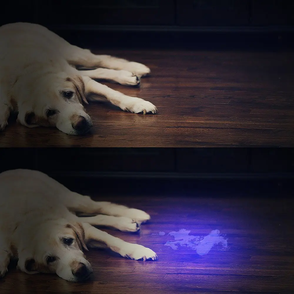 Zoom UV-LED-Taschenlampe, 365 nm, 395 nm, unsichtbare Tinte, Marker, Katze, Hund, Urin, Tinea, Erz, Geld, Skorpion, Fluoreszenzlicht, Verwendung AAA 18650 – Detail 13
