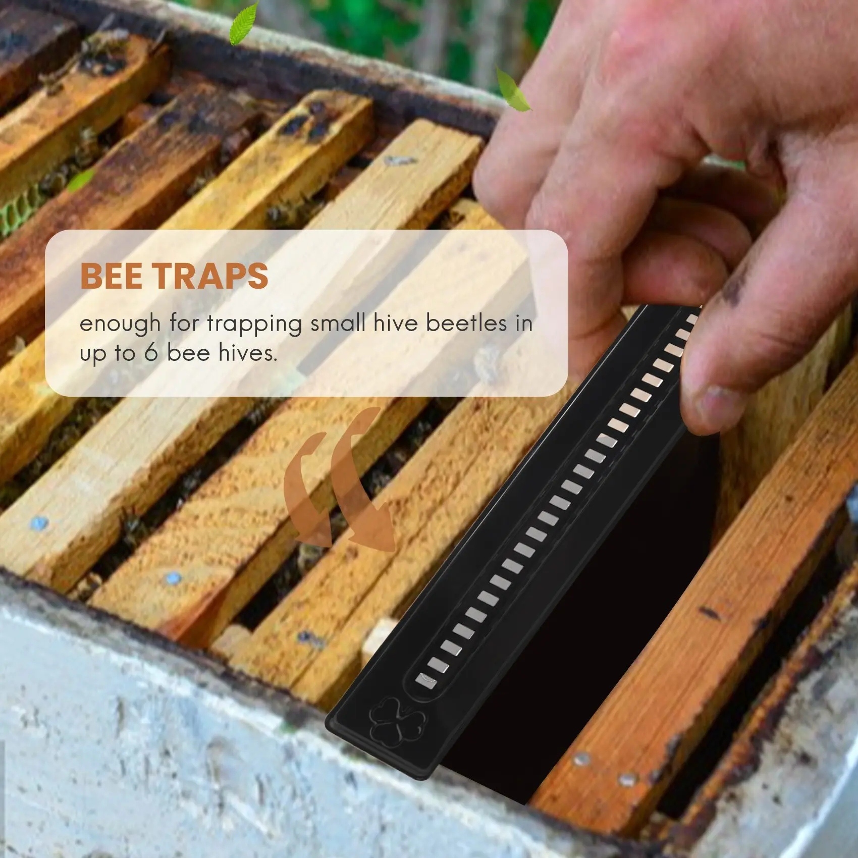 【Last-Chance!】Bienenfallen