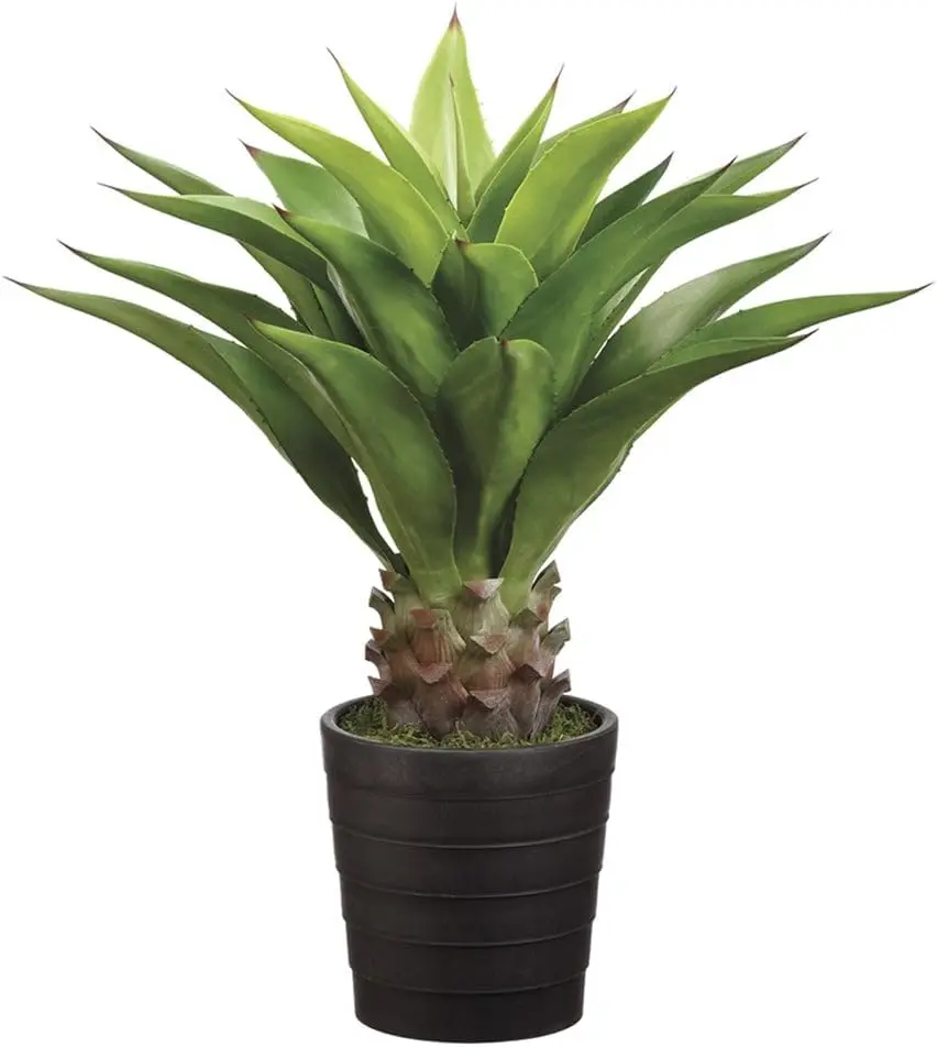 

Искусственное растение Agave Attenuata 32 дюйма с горшком - зеленый