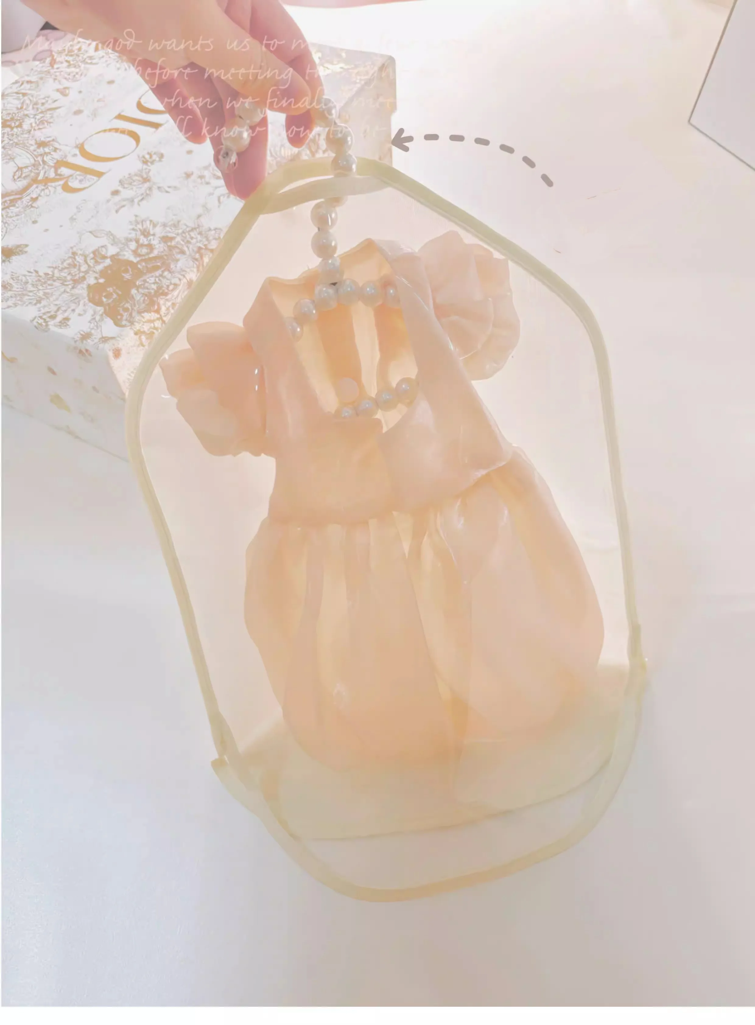 

10 Set - Dog Dress Storage Bag with Pearl Hanger, Transparent Pet Clothes Dust Cover for Wedding Gowns, Puppy Apparel Organizer