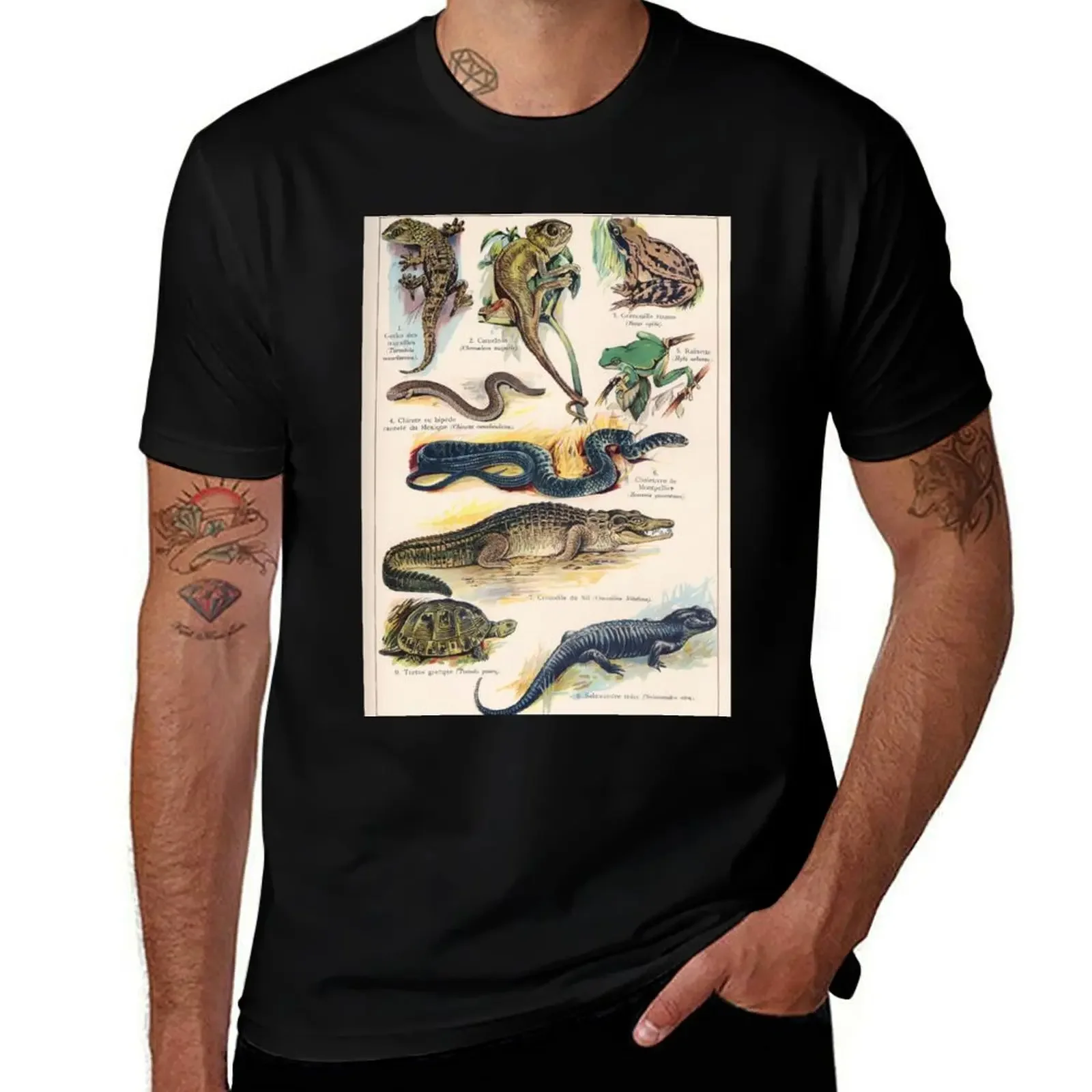 Vintage french biology illustration - Quillet - Reptiles T-Shirt Man t-shirt tops customizeds Funny t-shirt Men's clothing