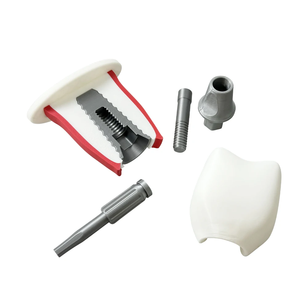 Removable Dental Implant Model Tooth Crown Structure Demo Model Dentistry Teaching Training Study Model for Dentist Students