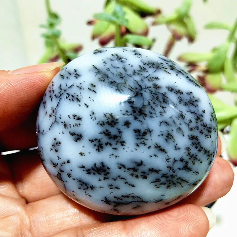 Natural Dendritic Opal Stone Trees Water Grass Crystal Palm Spiritual healing Crystals feng shui Room Decoration