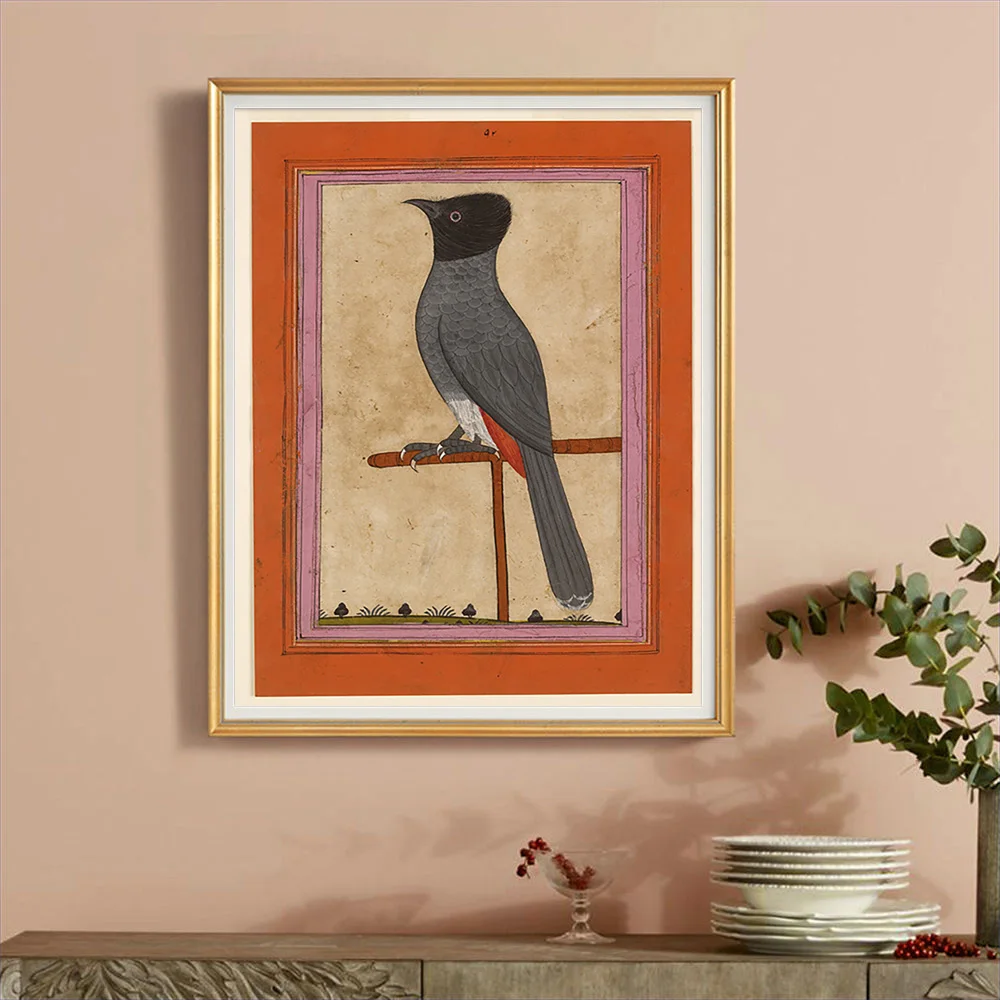 Red Vented Bulbul Vintage Print Art Poster Animal Bird Canvas Painting Retro Wall Stickers Home Decor