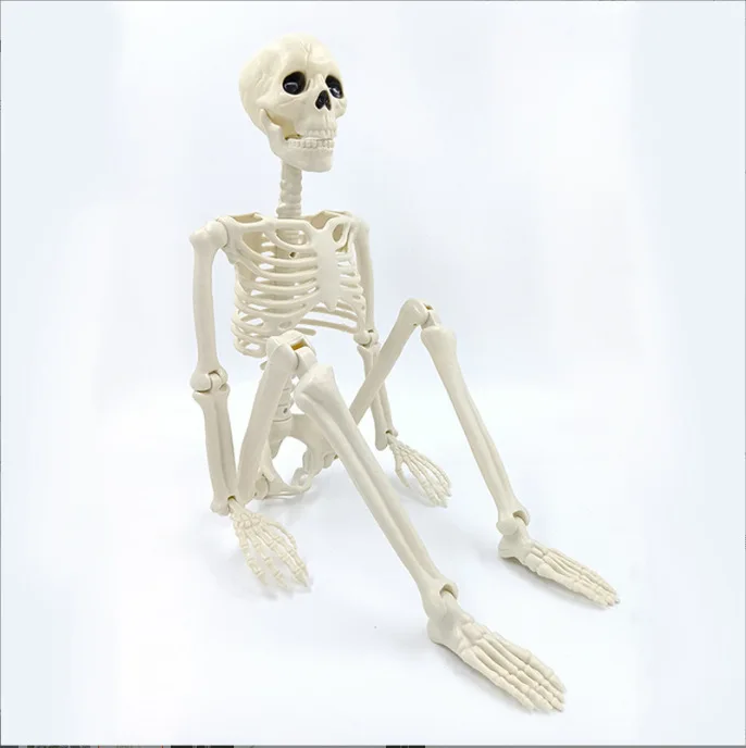 Halloween Menschliches Skelett 40CM-90CM Bewegliches Skelett Menschliches Skelett Halloween Horror Dekorationen Spukhaus Horror Requisiten – Detail 8