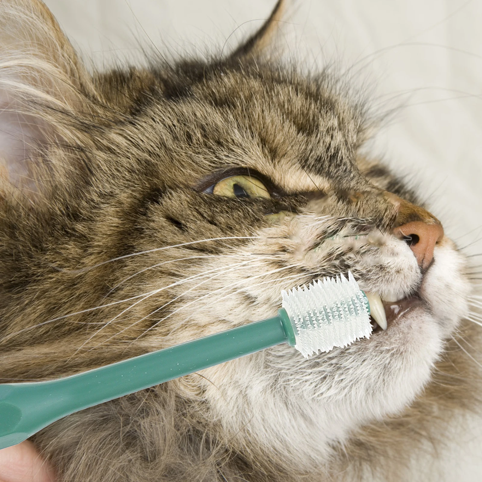 

2Pcs Pet for Cat Toothbrush Cat Clean 360Degree Brush Head AntiSlip H Teeth Cleaning Tools Pet Supplies