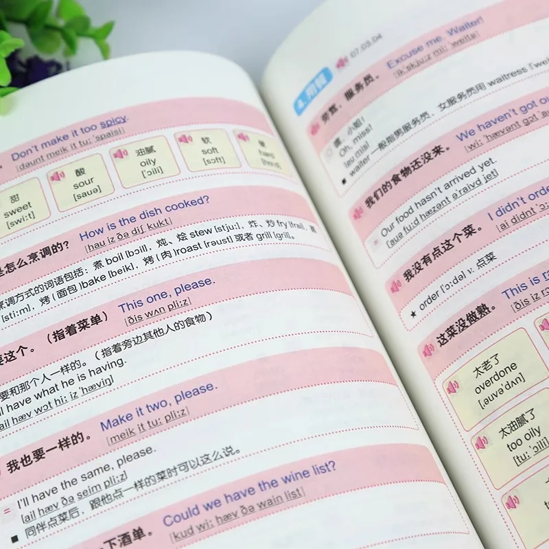 Illustrated Travel English Speaking At A Glance, Complete Guide To Travel English Speaking