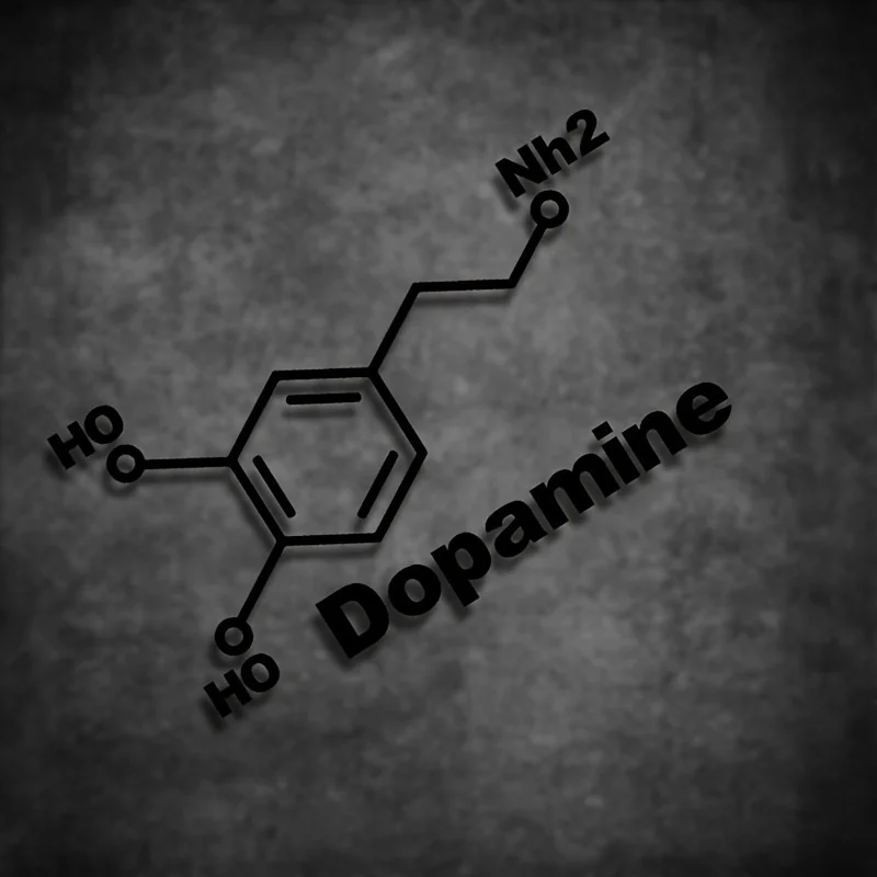 1PC Dopamine Molecule Chemical Structure PET Vinyl Sticker Waterproof Decal for Motorcycle Car Window Bumper Helmet Decor - view 4