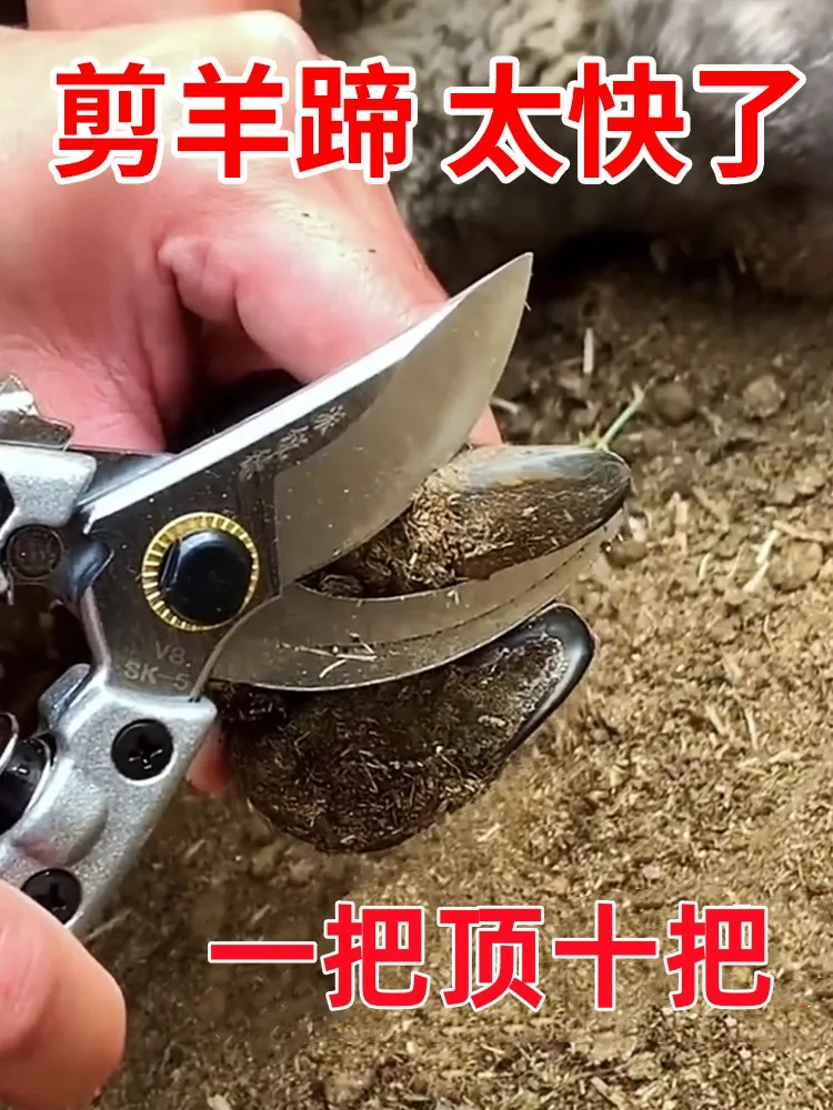 repairing hoof scissors for repairing special tools for raising sheep hoof-repairing pliers for supplies