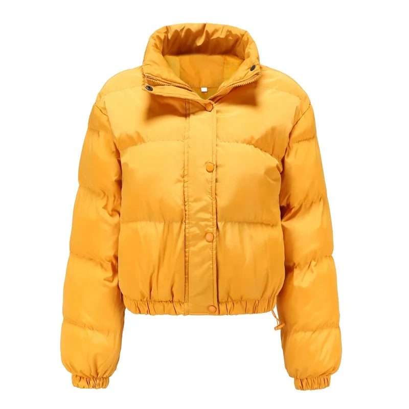 

Autumn and Winter Women's Short Cotton Clothes Women's Long-sleeved High-necked Warm Jacket Loose Casual Cotton-padded Clothes