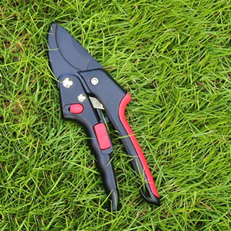 Cesoie da potatura componibili Cesoie da giardino Cesoie per alberi da frutto Forbici per protezioni per le mani Forbici da giardino di alta qualità
