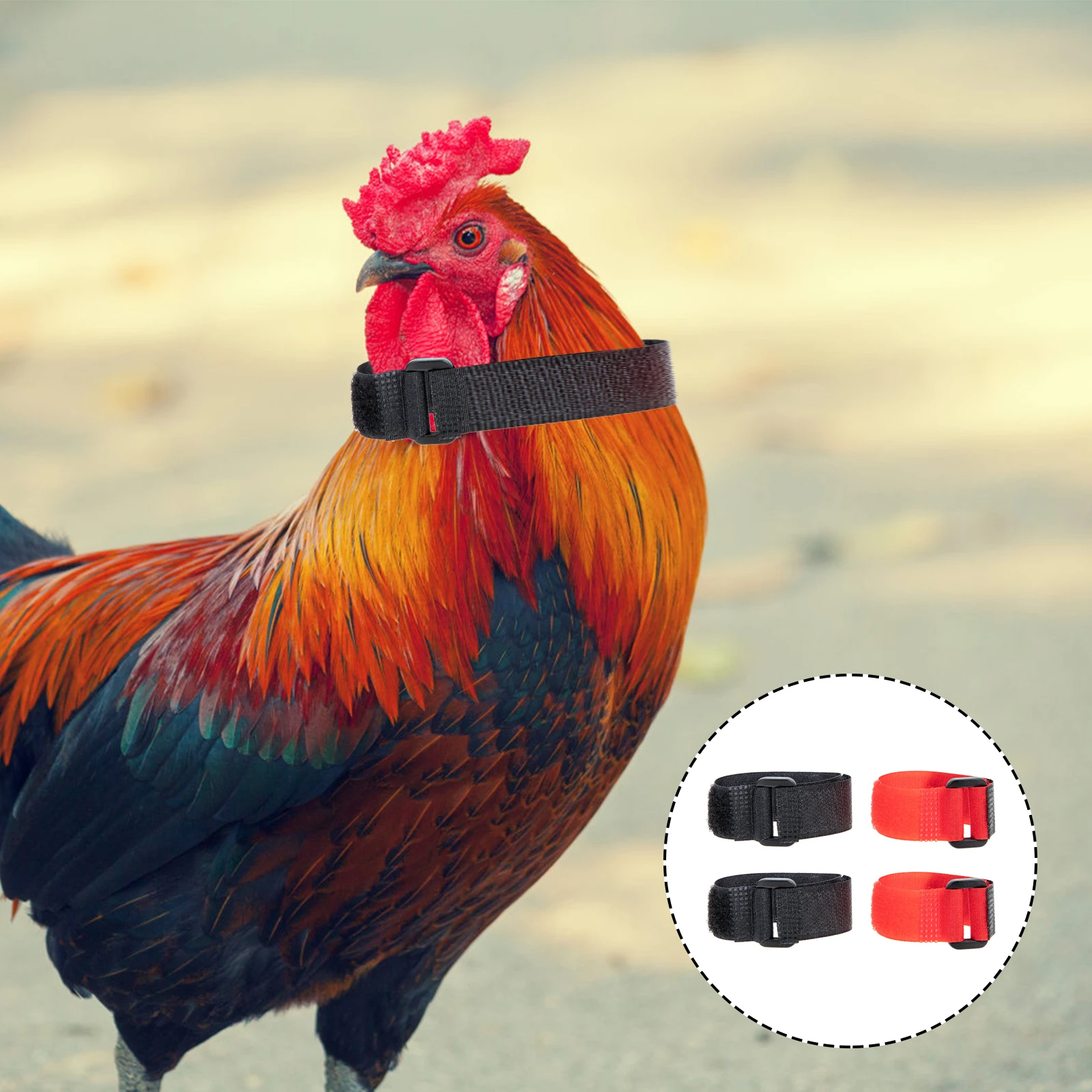 

4 Pcs Noise proof Rooster Collar Safe Anti crowing Nylon Strap Adjustable Poultry Supply Long lasting Durable Practical