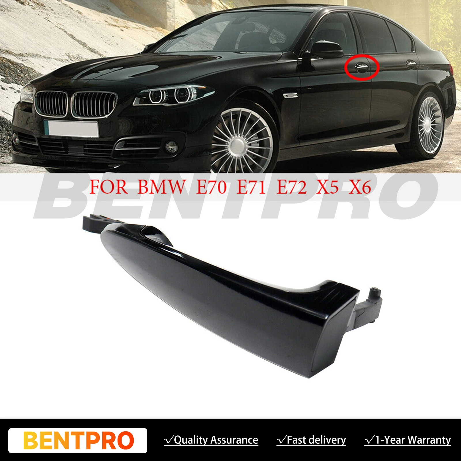 Front Left Exterior DOOR Handle For BMW X5 X6 E70 E71 E72 xDrive40i 51217207565