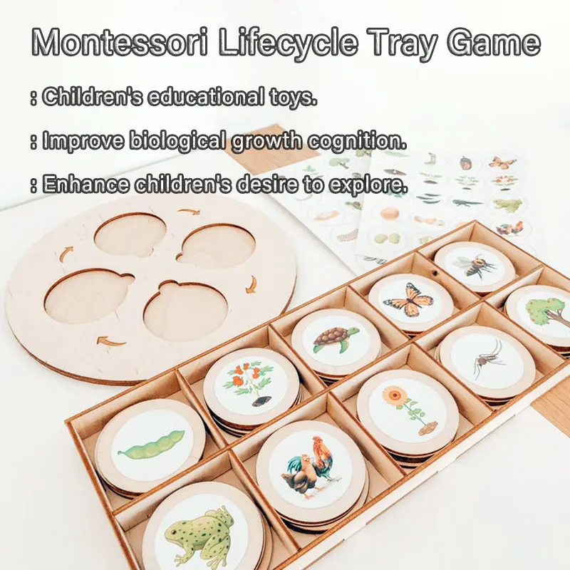 Life Cycle Board Montessori Kit Biology Science Education Toys For Kids Sensory Tray Animal Figure Life Cycle Sorting Wooden Toy