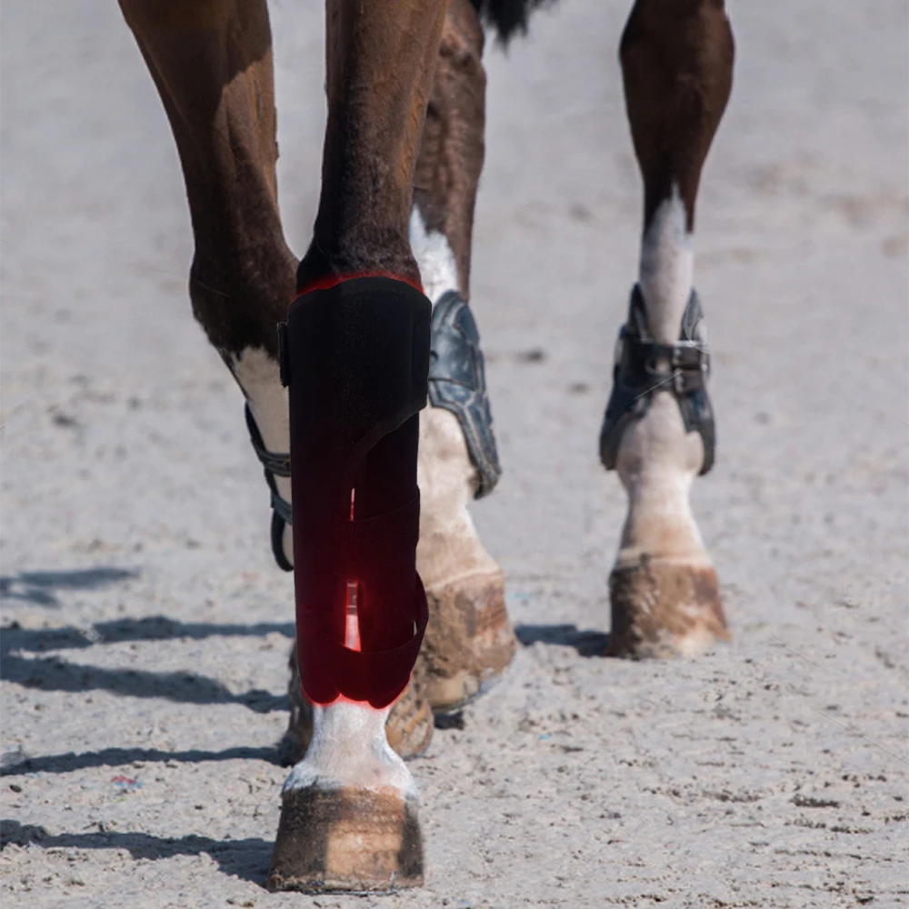 Horse Red Light Therapy Equine Feet Boot 660nm 850nm Infrared LED Red Light Therapy