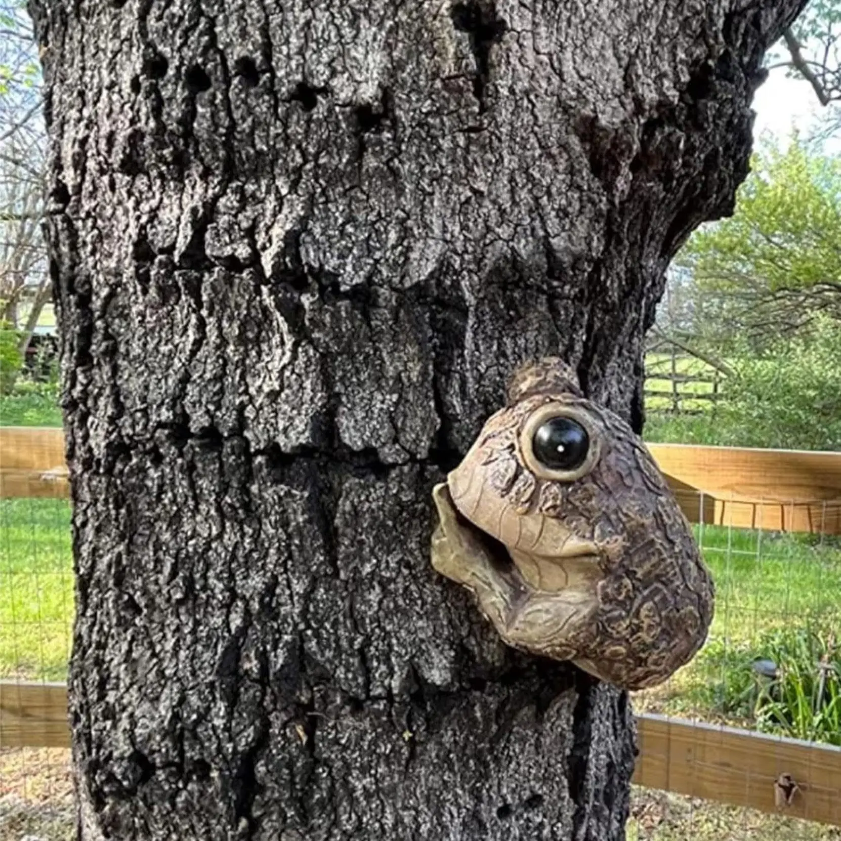Peeping Frog Tree Ornament- Resin Garden Decoration, Unique Yard Figurine
