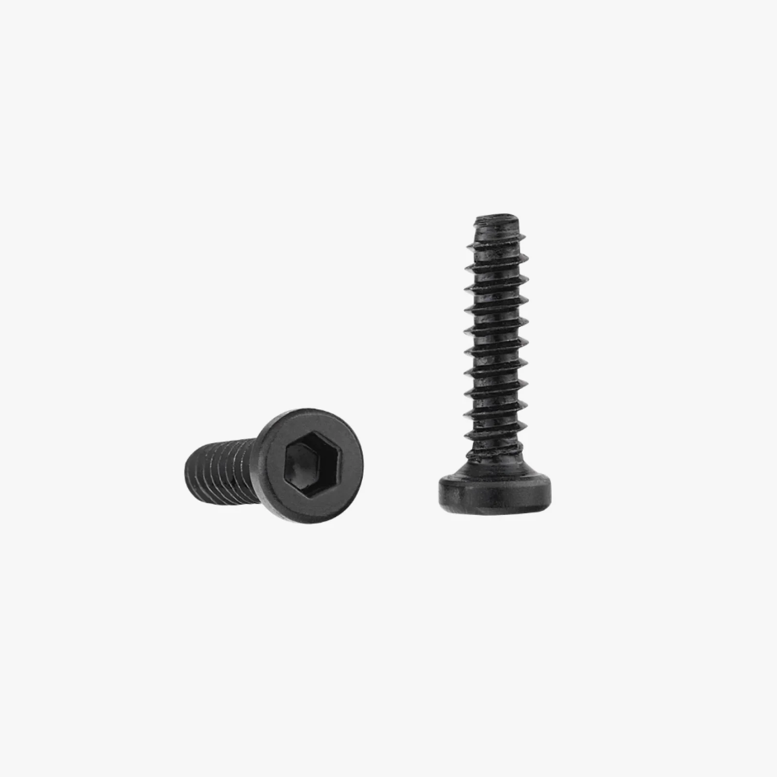 Immagine 3: Bambu Lab3D modello di stampa parte standard specifica Viti autofilettanti a testa cilindrica BT2x8 (20 pezzi) AA019
