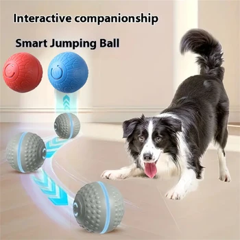 Smart Rolling Dog Toy Ball 1