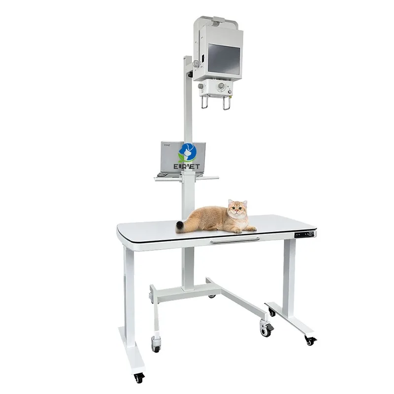Portable Touchscreen Durable X-Ray Machine Large Animals Excellent Digital Veterinary Equipment Reusable