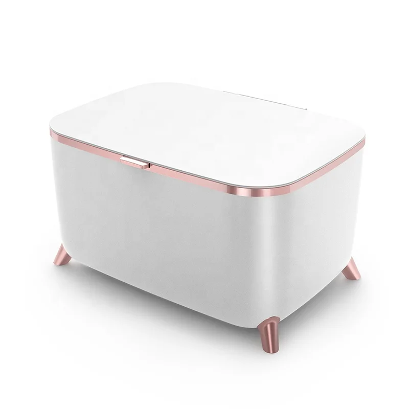 6L Mini Car Refrigerator Small Bar Cosmetic Skin Care Portable Beauty Skincare Fridge Cost For Cosmetic