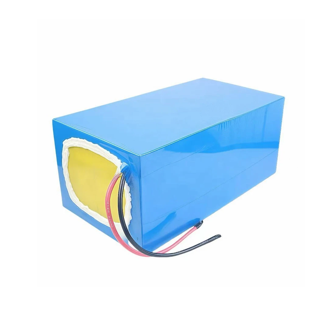 60V lithium iron phosphate battery 20-100Ah, suitable for multiple specifications, 2-5KW motor power supply+charger