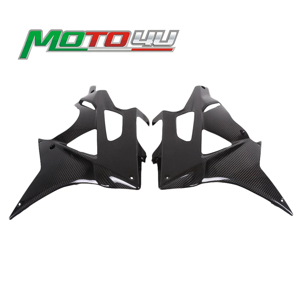 

For BMW S1000RR 2009 - 2014 100% Carbon Fiber Belly Pans (L+R)