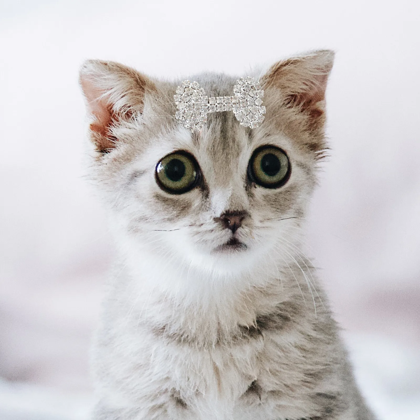 

Набор из 9 заколок для волос с стразами в форме собак, аксессуары для укладки, милые заколки-украшения для собак