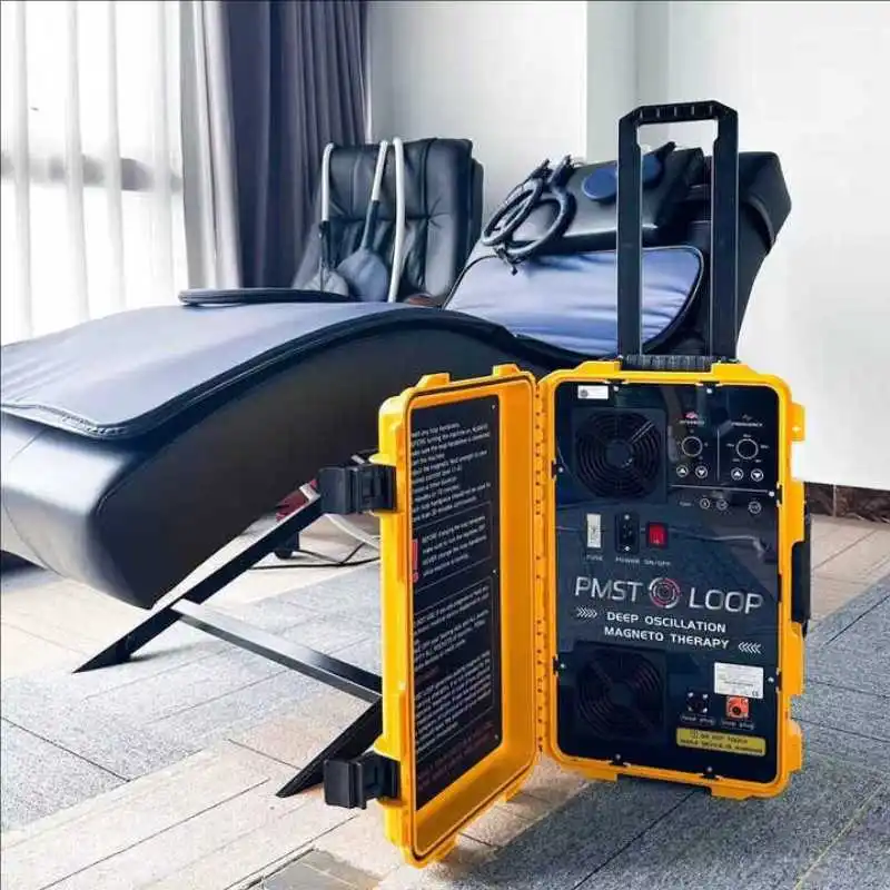 Professional Portable Body Pain Relieve Pulsed Electromagnetic Field Therapy PEMF Magnetobiology PEMF for Cancer Treatment