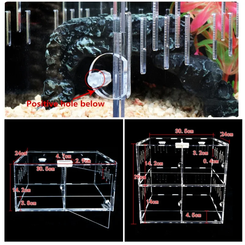 Reptile Feeder Tank Acrylic Terrarium Insect Spiders Lizard Breeding Box TerrariumTortoise Snake House Cage Reptiles Accessories